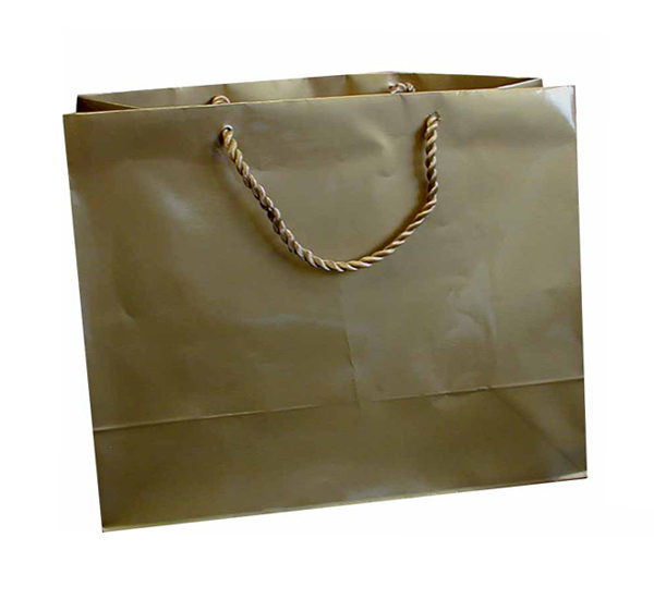 Horizontal Large Gift Bag (A4) - Gold