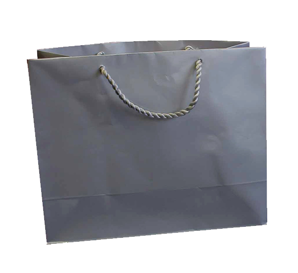 Horizontal Large Gift Bag (A4) - Silver