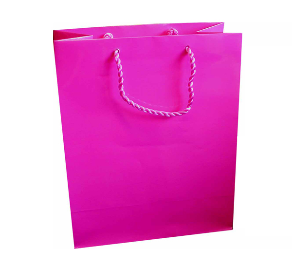Large Gift Bag (A4) - Hot Pink