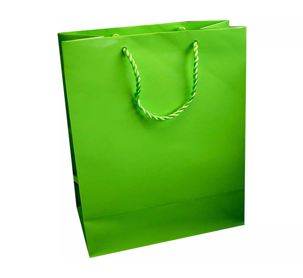 Large Gift Bag (A4) - Lime