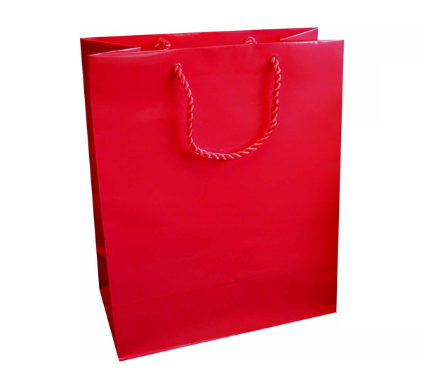 Large Gift Bag (A4) - Red