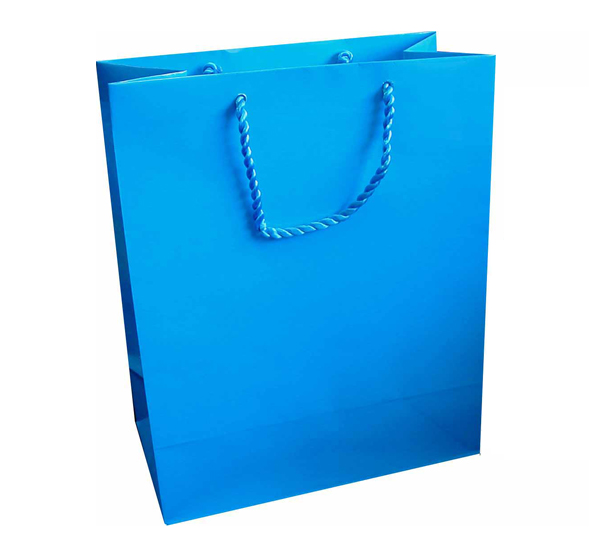 Large Gift Bag (A4) - Sky
