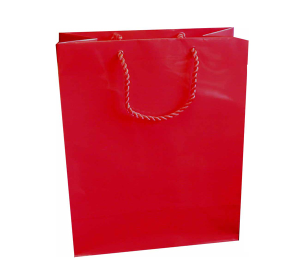 Medium Gift Bag (A5) - Red