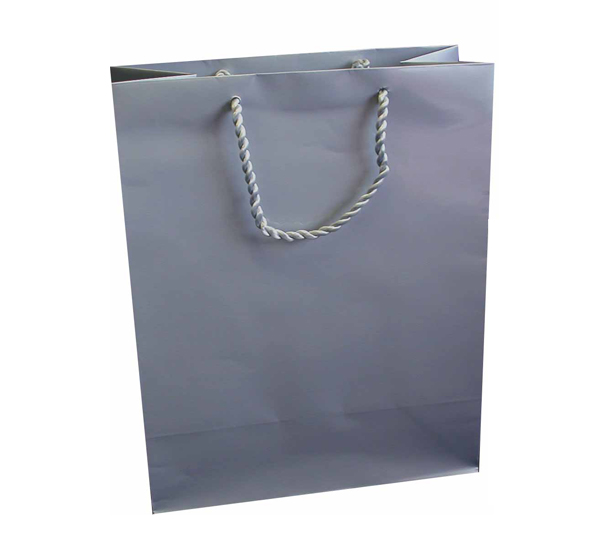 Medium Gift Bag (A5) - Silver